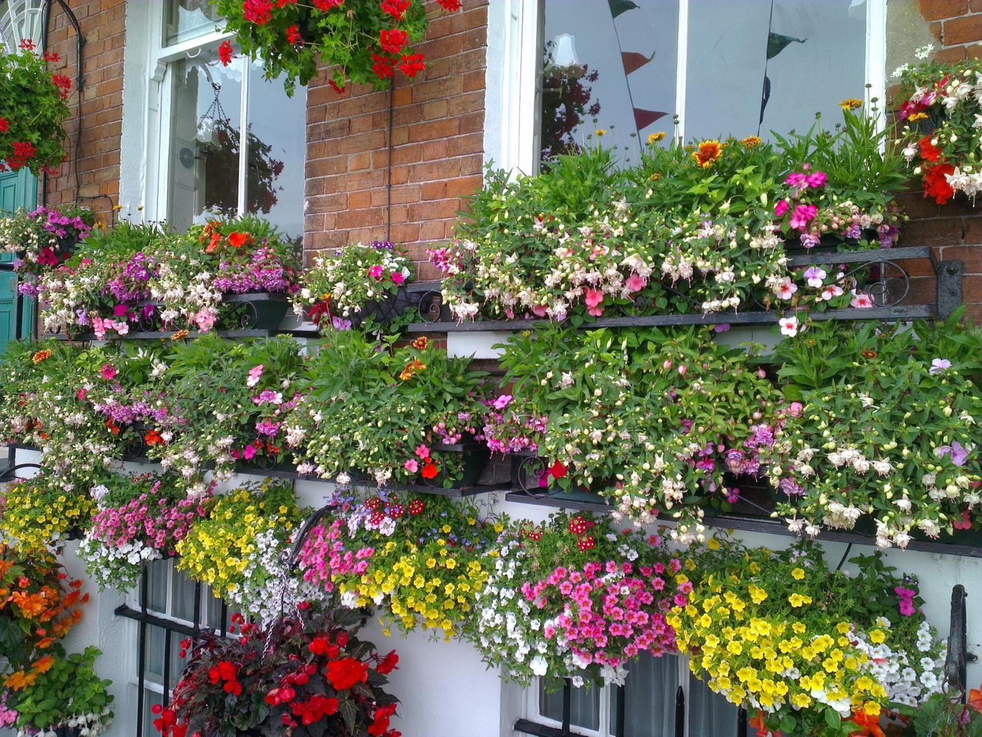 Bed and Breakfast The Langham Weymouth Exterior foto
